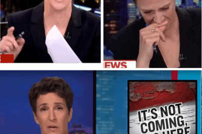 “It’s no longer a warning. It’s happening right now” – Rachel Maddow STOPS live segment to deliver haunting alert that leaves MSNBC crew frozen as whispers grow: has America crossed the point of NO RETURN?