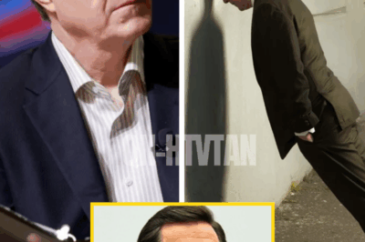 “When you burn the bridge you stand on, don’t be surprised when you fall” – Stephen Colbert faces the end of The Late Show as industry insiders say his downfall is the result of years of self-inflicted wounds, shrinking audiences, and a toxic brand built on one obsession.