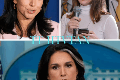 “‘Nice Try, But No Chance,’ Kaitlan Collins TRIES to Corner Tulsi Gabbard on Live TV — But Her Question BACKFIRES, Leaving Viewers Stunned!”  In a jaw-dropping moment on The Lead, CNN’s Kaitlan Collins tried to trap Tulsi Gabbard with a tough question about her involvement in the release of classified documents. But Gabbard, now more aligned with conservative views, expertly flipped the script, leaving Collins flustered and unable to recover. The stunning back-and-forth quickly went viral, with viewers watching in disbelief as Gabbard dominated the exchange. Watch the explosive moment unfold below 👇👇       Hỏi ChatGPT