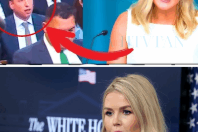 “‘You Won’t Twist My Words,’ Karoline Leavitt FIRES BACK After Provocative Question From New York Times Reporter — Room Falls Silent.”