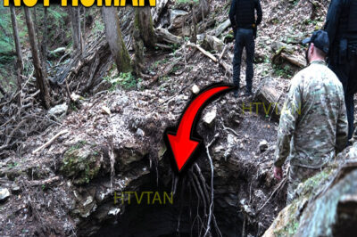 Police Thought It Was a Cave… Until They Saw What Was Inside…..