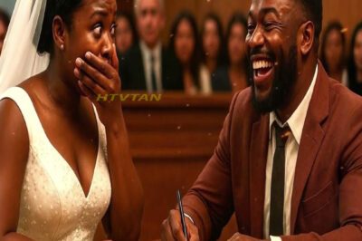 He Signed The Divorce Papers Mocking Me… Until The Judge Read My Father’s Will Out Loud
