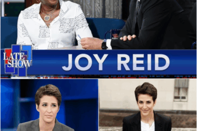 BIG BANG: Rachel Maddow quietly launches a newsroom that MSNBC never dreamed of – A bold vision, Breaking the layers of censorship for a corrupt and manipulative press, they won’t have to answer to anyone!