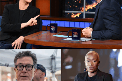 “I GOT TIRED OF ASKING PERMISSION TO TELL THE TRUTH.” — Rachel Maddow Just Changed the Media Game Forever