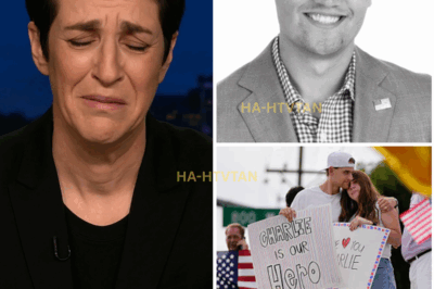 “ENOUGH IS ENOUGH — HOW MANY MORE FAMILIES HAVE TO BE DESTROYED?” Rachel Maddow’s Explosive Warning to Lawmakers Shakes Viewers