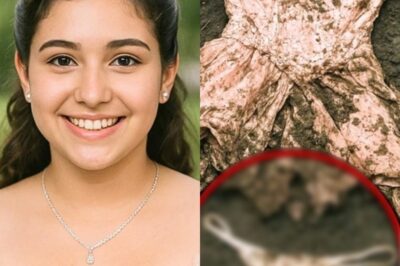 “The daughter of a gas station owner disappeared at her 15th birthday party, six years later. Roberto Alejandro Vázquez Hernández closed the cash register at his gas station located on López Mateos Avenue ch2