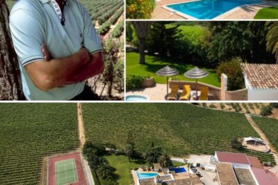 Sir Cliff Richard Sells Algarve Vineyard for £7.5 Million — Fans Heartbroken as Star Ends His Portuguese Dream