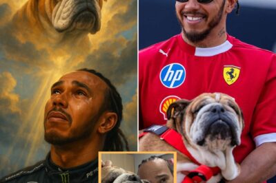 Lewis Hamilton Shares Heartbreaking Update on His Dog Roscoe’s Health