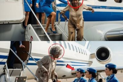 ELDERLY BLACK CEO In Disguise Gets BLOCKED From Her Own Plane — Then Everyone TREMBLED!