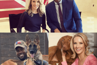 Lawrence B. Jones unexpectedly revealed that his colleague Dana Perino was the one who inspired him to adopt the service dog Nala.