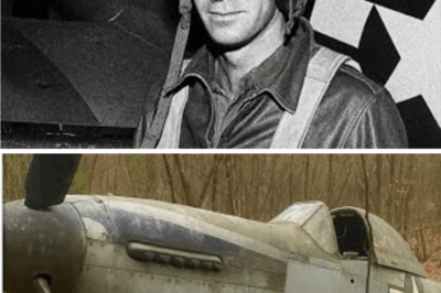 Fighter Pilot Vanished in 1943 — 60 Years Later, His Rusted Plane Was Found in a Forest…CH2