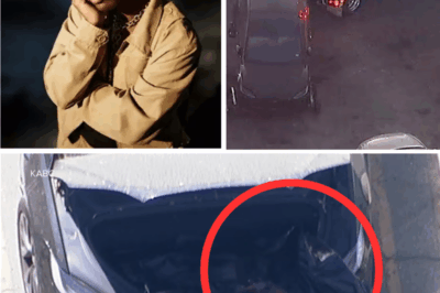“The leak changes everything” – The possible identity of the person may have been revealed through a shocking leak, after D4vd’s Tesla discovered at a Hollywood tow yard was found with a disturbing discovery inside, sparking nationwide speculation and raising urgent questions about how far this case may truly reach