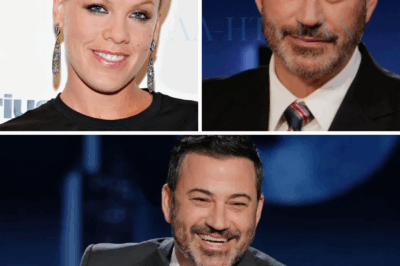 Pink Defends Jimmy Kimmel: “Freedom of Speech Cannot Be Bought With Money”