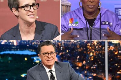 “I’m done playing by their rules,” Rachel Maddow declared – and now she, Stephen Colbert, and Joy Reid have set off a media earthquake. The three big names have walked away from corporate control, launching a secretive independent newsroom that insiders say has MSNBC in full-blown panic.  Furious with censorship, politics, and bosses pulling strings behind the scenes, Maddow, Colbert, and Reid are tearing up the rulebook to deliver raw, unfiltered truth – with Maddow’s cutting analysis, Reid’s credibility, and Colbert’s no-holds-barred wit fueling a project that could flip the entire news industry on its head.  Networks are scrambling, insiders are terrified, and audiences can’t stop buzzing – is this the end of mainstream news as we know it, or the start of something far more dangerous? Read more below 👇👇👇