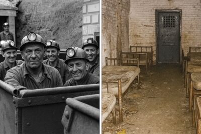 Miners Vanished in 1962 — 50 Years Later a Sealed Room Was Found Inside the Abandoned Mine.CH2