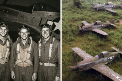 3 Fighter Pilots Vanished In 1944 — 75 Years Later, Their Planes Were Found Almost Intact…CH2