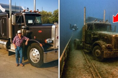 Truck Driver Vanished in 1992 — 20 Years Later, Divers Make a Chilling Discovery…CH2