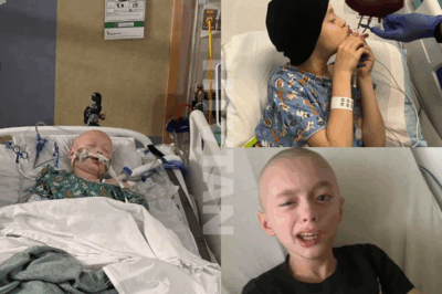 CH2. One Tiny Transplant, One Giant Leap Toward Healing