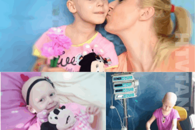 CH2. Sara’s Last Chance — A Mother’s Cry Against Time