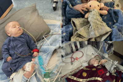 CH2. Jax’s Big Step — From IV Lines to Real Feeds