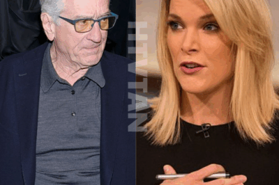 “Say it again, if you dare” — Robert De Niro leaves Megyn Kelly utterly speechless with just nine words. — but 14 seconds later, the moment shifted dramatically
