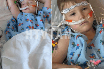 Gordy is only four, yet he has already survived more than most face in a lifetime. Born with a severe heart defect, he’s endured three open-heart surgeries—the latest just days ago. Complications now keep him in the ICU, his tiny body fighting through collapsed lungs and fluid buildup… CH2