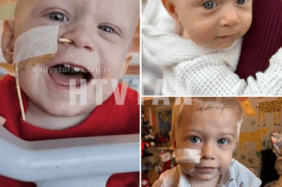 Ashton Joseph Conroy came into the world with bright blue eyes and a smile full of joy. At just one year old, he passed away peacefully in his mother’s arms after a brave battle with a rare leukemia… CH2