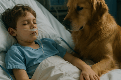 A loyal dog refused to leave his owner’s hospital bed for months — and when the boy’s fingers finally twitched, the entire room burst into tears…
