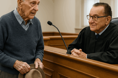 CH2 – 92-Year-Old Woman’s Parking Ticket Confession — Judge Caprio Stops Court When He Hears WHY…