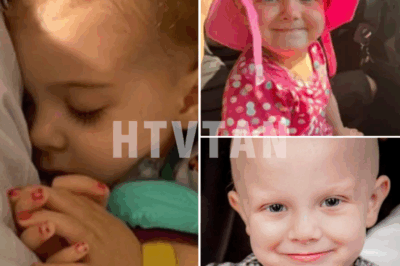 CH2 – Amelia’s Brave Heart: A Legacy of Love, Laughter, and Unbreakable Spirit