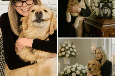 Barbra Streisand Adopts Diane Keaton’s Loyal Dog in Heartbreaking Farewell That Leaves the Room Silent