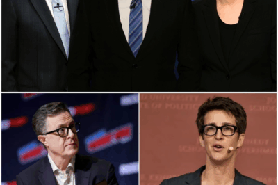 Maddow, Colbert, and Kimmel Just Walked Away From the System — And Launched a Newsroom That Has Networks Shaking