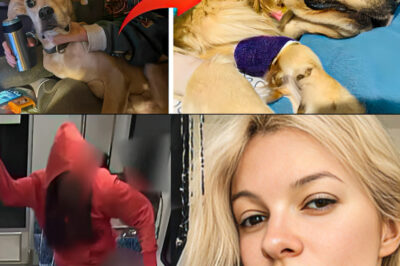 A Final Act of Devotion: Iryna Zarutska’s Loyal Dog Passes Away Moments After Her, Symbolizing an Unbreakable Bond