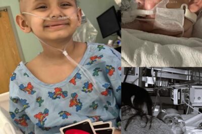 In Every Star, His Light Still Shines — Remembering Cami