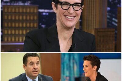 Breaking News: Rachel Maddow Wins Landmark Court Victory for Press Freedom