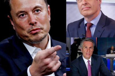 🚨 BREAKING — ABC News Anchor Suspended After Elon Musk Exposes His Private Comment