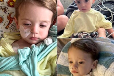CH2 – At just sixteen months old, little Liam Box is fighting for his life. What started as a routine check-up became every parent’s nightmare — stage 4 neuroblastoma, an aggressive cancer.