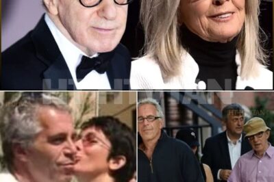  Hollywood Blockbuster: Woody Allen Exposes Epstein Scandal The world was shocked when Woody Allen — a name long surrounded by controversy — finally spoke out about the Jeffrey Epstein scandal shortly after Diane Keaton’s death.  In an unexpected revelation, Allen lifted the curtain on a web of power, privilege, and betrayal that stretched far beyond Hollywood — what does this have to do with Diane Keaton? His sharp, candid words exposed the secret networks that protected Epstein’s empire for years.  From lavish parties to secret deals in high places, Allen’s story is shaking the entertainment world — and raising chilling questions: