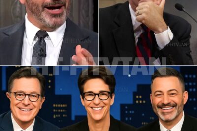 Maddow, Colbert, and Kimmel Just Walked Away — And Built a Newsroom Shaking the Networks!  Rachel Maddow, Stephen Colbert, and Jimmy Kimmel have shocked the media world by launching an independent newsroom, free from advertisers, corporate control, and editorial restraints. Their goal: expose corruption, challenge power, and deliver journalism straight to the people.