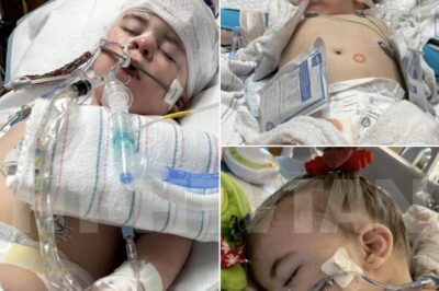 CH2 . Gracie’s life has been a fight from the very beginning. At only three years old, she has survived seizures, cardiac arrest, respiratory failure, and countless complications that nearly took her away.  Doctors said the odds were against her — but today, Gracie is home, holding her head up, walking again, and even speaking five precious words: Mama, Dada, Abbie, Bubba, and eat. Every step, every word, is a miracle.  Her family calls her Amazing Gracie — because that’s exactly who she is.  Read the full story in the comments.👇