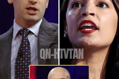“I thought fascism would come from geniuses, not mediocrity” – Steven Miller FLAMES OUT as Judge SHUTS HIM DOWN during chaotic segment after his desperate defense collapses, leaving even allies in stunned silence
