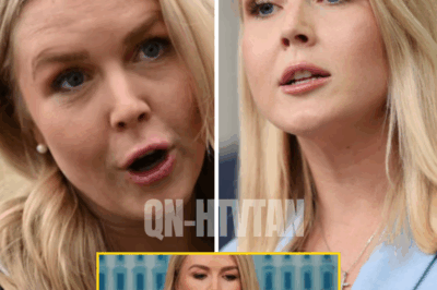 “She said I’m the reason America’s losing its mind” – Karoline Leavitt ERUPTS on live TV after being MOCKED by panelists, unleashing fiery defense that left the Fox News studio in stunned silence and viewers wondering if she finally went too far