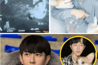 “They tried to erase him, but the truth refused to stay buried” – Yu Menglong’s dog digs up a hidden USB drive that could EXPOSE the final secret he left behind, shaking the nation and reviving questions no one dared to ask