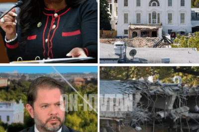 CH2 “They’ll make him regret every brick he laid.” Democrats quietly PLOT REVENGE over the $300 million luxury ballroom project – insiders claim they’re preparing a symbolic strike that could turn his prized legacy into a public embarrassment overnight