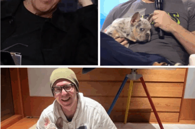 “He’s been waiting too long,” Greg Gutfeld said softly as he knelt beside a trembling old Labrador named Buddy – unaware that his next words would change everything for 39 forgotten dogs.