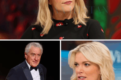 BREAKING: Robert De Niro Silences Megyn Kelly Live On Air With Eight Chilling Words—Fans Say They’ve Never Seen Her So Speechless. What began as a heated exchange between Megyn Kelly and Hollywood legend Robert De Niro took a jaw-dropping turn when Kelly lobbed a stinging insult at the actor, calling him “extremely stupid” in front of millions. Viewers braced for fireworks, but De Niro stunned everyone by keeping his cool—then calmly delivered just eight words that left Kelly completely speechless. No shouting, no drama—just a quiet comeback so powerful, it stopped the entire studio in its tracks. So, what exactly did De Niro say that turned the tables and left fans buzzing? The answer is even more sh.0.cking than you’d expect.