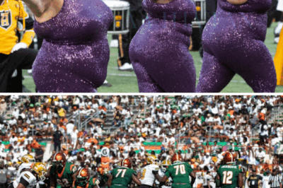 There’s been a simmering rivalry between Florida A&M and Alabama State, and it seems like it boiled over after the two HBCUs met on the football field last weekend. The Hornets got a win over the Rattlers on Saturday, and we were treated to some additional drama over an out-of-pocket remark by a stadium announcer that led to FAMU’s president issuing an apology.
