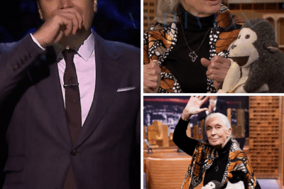Jimmy Fallon Opens The Tonight Show in Tears with Heartfelt Tribute to Jane Goodall — “She Didn’t Just Study Nature, She Taught Us to Listen to the Earth and Love It Back”!