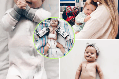 Aria’s Heart: A Tiny Warrior, A Living Miracle ch2