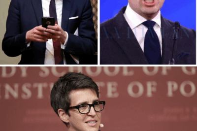 Rachel Maddow’s On-Air Confrontation With Stephen Miller Sends Shockwaves Through Washington